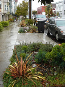 Harrison Street Greenway 2007