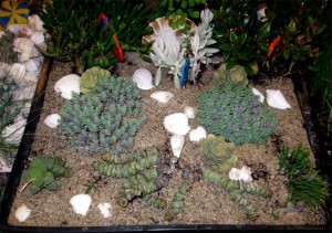 gskidgarden3 Design Improvisation with Sand and Succulents