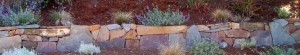 cabernet stone