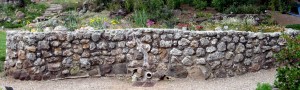 tilden bulb raised bed