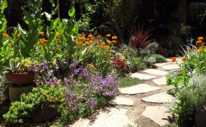 arizona flagstone path and border