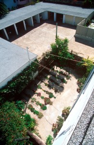 The Crack Garden