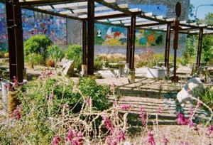 Community Garden, Project Photovoice