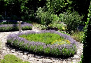 Knot Garden