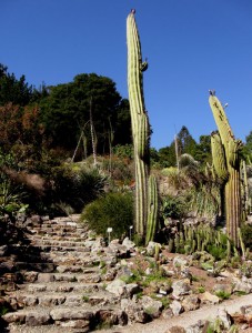 New World Desert section