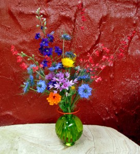 Nigella, Heuchera, Larkspur, Calendula