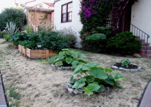 squash