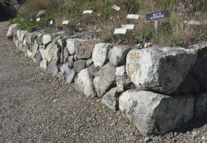 serpentine dry stack wall