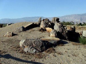 Garden at Manzanar