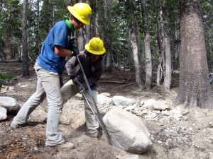 moving Mastondon with rockbars