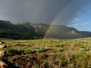 Sagebrush Country
