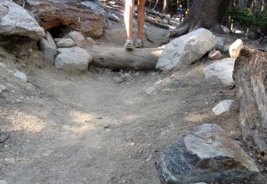high timber step