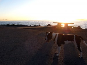 prudenceatsunset Prudence at Point Isabel