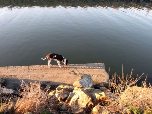 prudenceatwateredge Prudence Checking Out the Slough