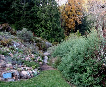 Coastal Bluff Section