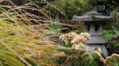 stipaarundwet1 New Zealand Wind Grass and Salmon Beauty Yarrow