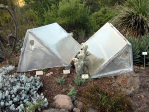 tildencoldframes Cold Frame at Tilden