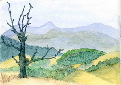 Upper Moutere