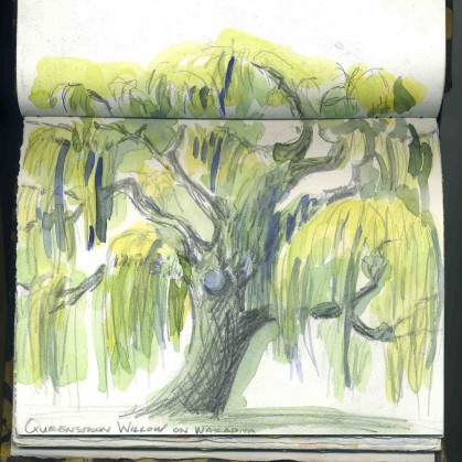 Willow Tree in Queenstown