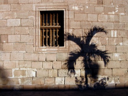 bajaloretamissionpalm