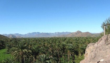 mulegepalms The view to the East