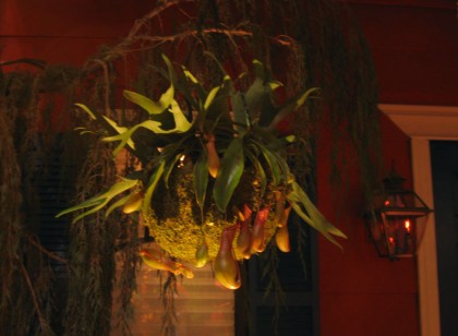 neworleansbasket Salvaged Creole Jazz