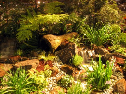 waterfall Nature By Design