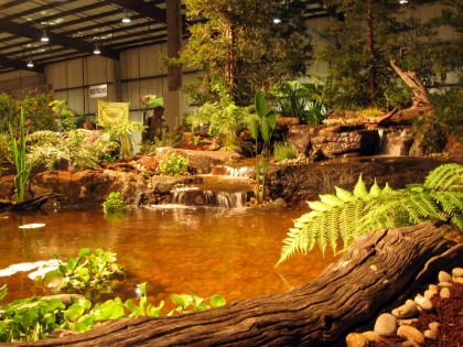 waterfallpond1 Nature By Design