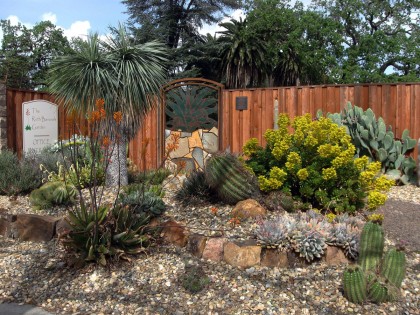 bancroftfrontplanting1