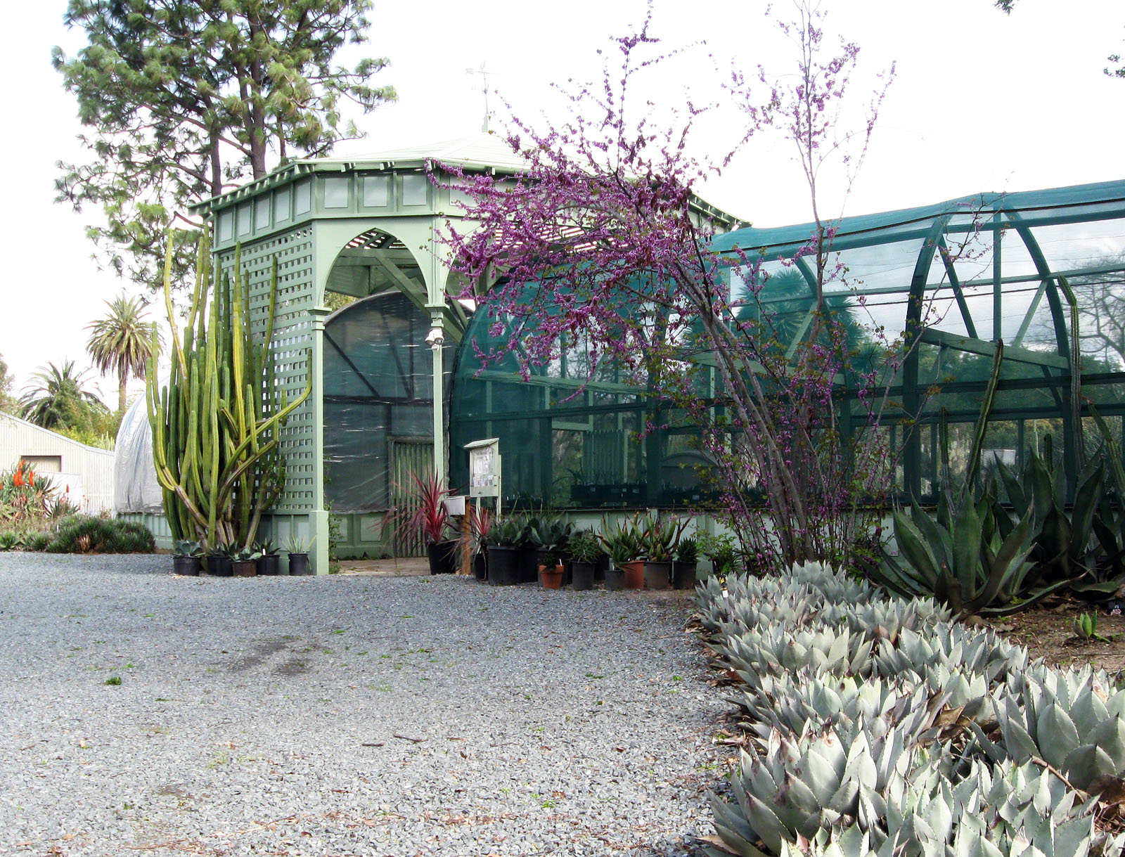 DryStoneGarden » Blog Archive » The Bancroft Garden Entrances