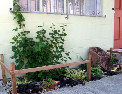 plantsfplanting2