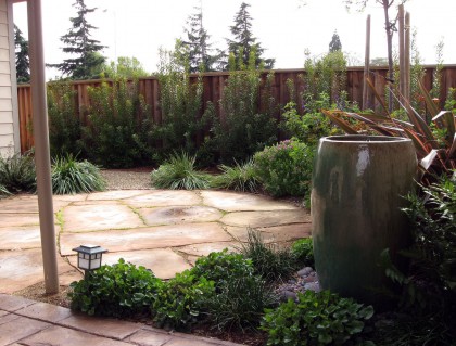 arizonapeachflagstone Arizona Peach patio 1 year later