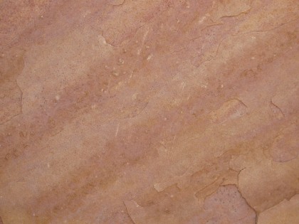 arizonaflagrosa Rosa Peach