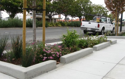elcerritorgplanting1pic