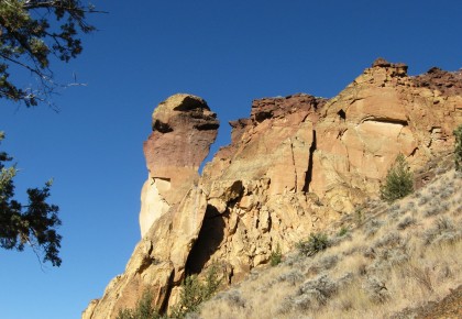 smithmonkeyface