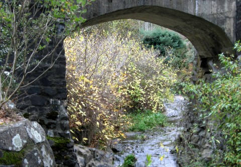 Wildcat Creek