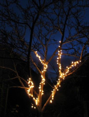 christmaswalnut2010