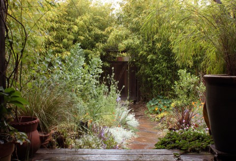 gardenpath5:16:11