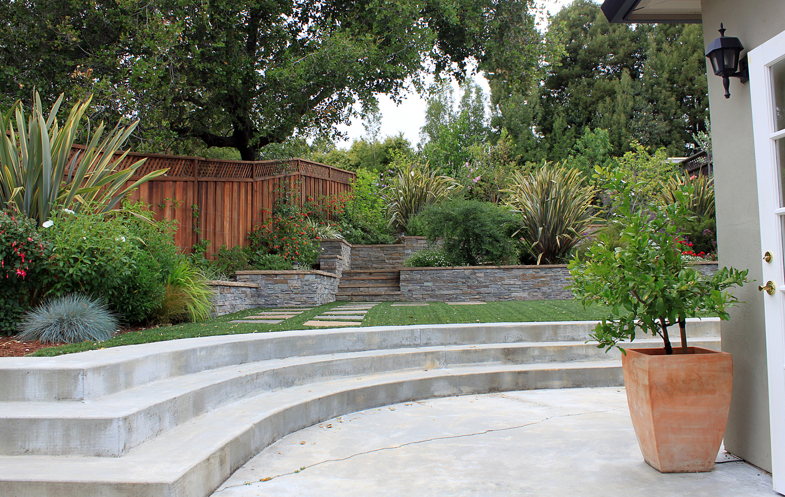 DryStoneGarden » Blog Archive » A Redwood City Garden