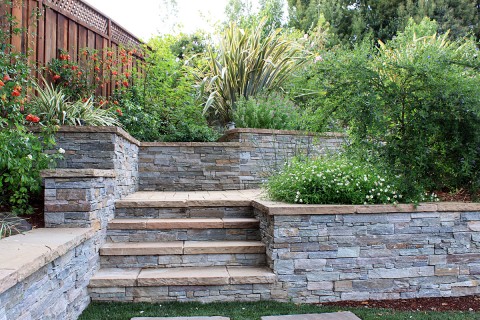 redwoodcitystonesteps