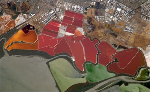 San_Francisco_Bay_Salt_ponds_2002