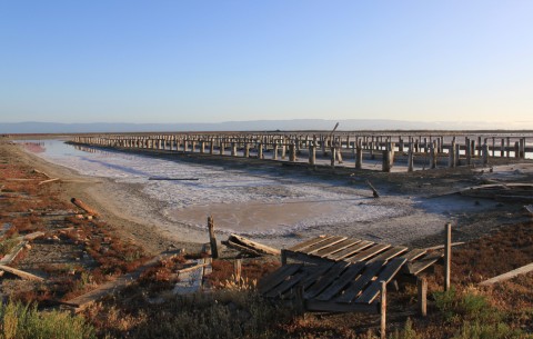 edenlanding1