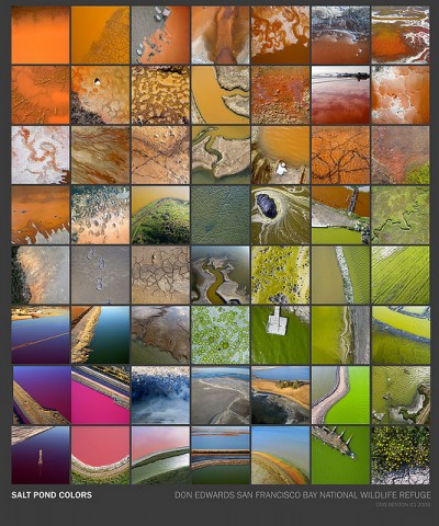 crisbentonsaltpondcollage