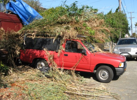 bambooload1