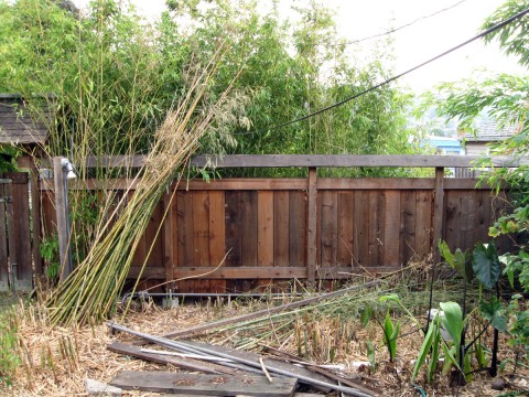 gardenshedgone