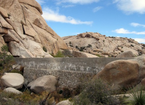 jtreedammainwall