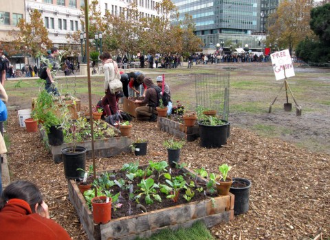 occupyoaklandgarden