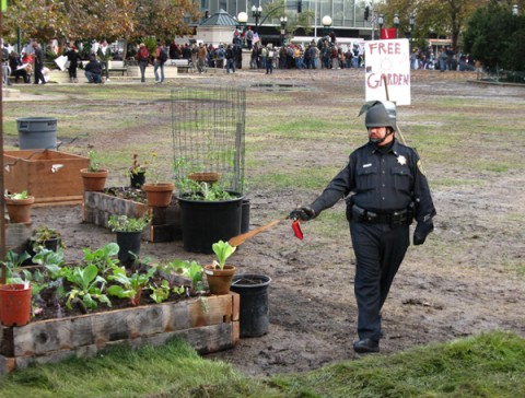 occupyoaklandwpike