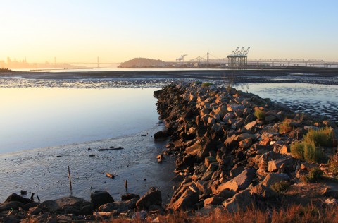 middleharborriprap