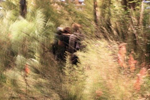 savannahblurry